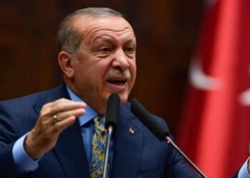 Fransızca – Arapça infografik