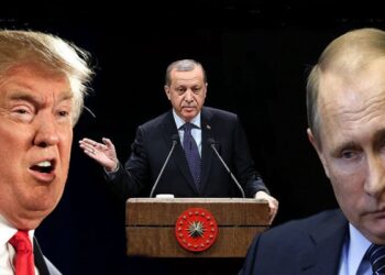 Büyük kumar [Vehbi Şahin]