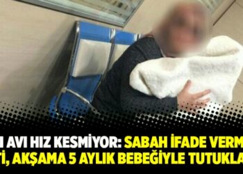 Cadı avı hız kesmiyor: Sabah ifade vermeye gitti, akşama 5 aylık bebeğiyle tutuklandı