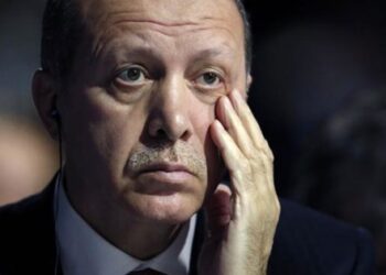 “Erdoğan, İslamcı bir otoriter devlet kurmak için darbe sahneledi”