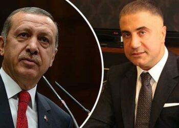 “Kafalarını koparacağız” diyen Erdoğan’dan sonra Peker konuştu: ‘Dışarıdakilere ağaçlara asıp cezaevlerini basacağız’