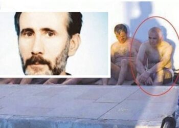 Yeşil ve Adil Öksüz benzerliği